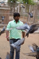 Nenu Nene Ramune Movie Stills